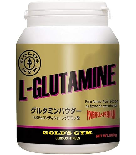 【美品】GOLD'S GYM正規品プロレザーベルトM ゴールドジムプロレザーベルトをレビュー！サイズ感や手入れを